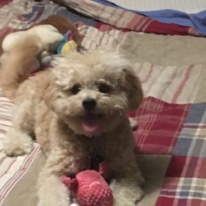 Meet your Posher, Erin